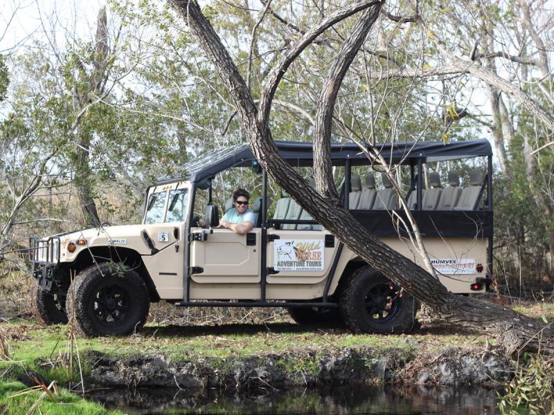 a truck is parked in the grass