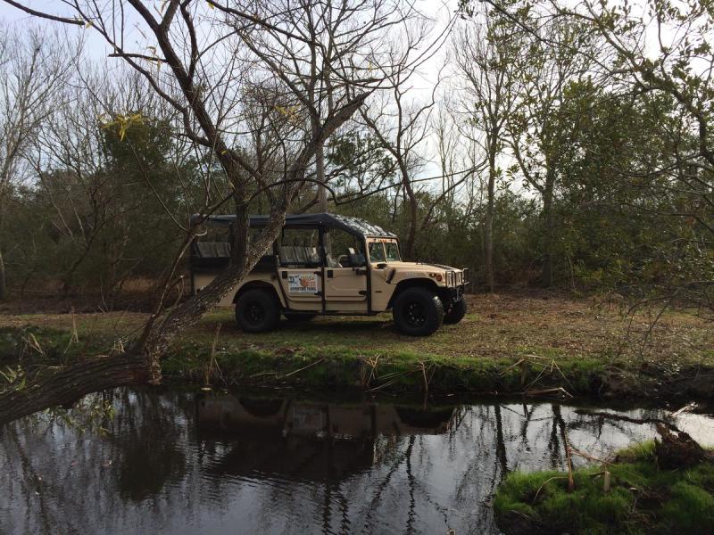 a truck is parked in a forest