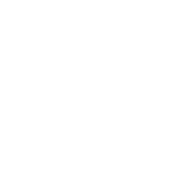 ikona icon