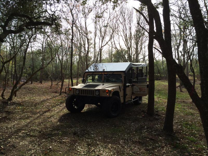 a truck is parked in a forest