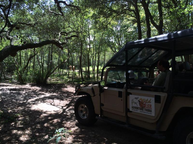a truck is parked in front of a tree